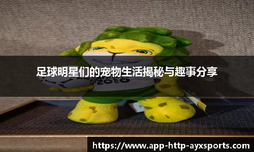 足球明星们的宠物生活揭秘与趣事分享